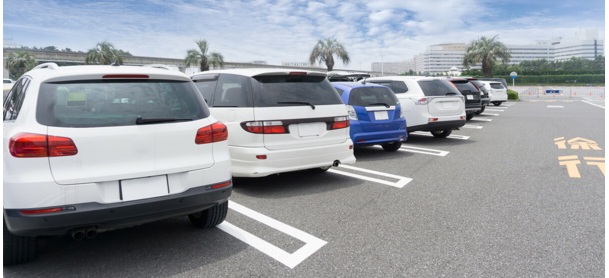 環境条件と保管時の注意点