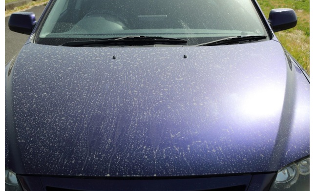 なぜ電気自動車(EV)で「洗車の頻度が減る」のか