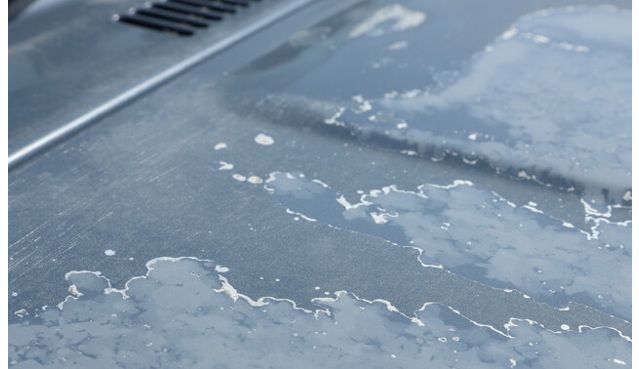 「洗車習慣の消失」が引き起こす問題