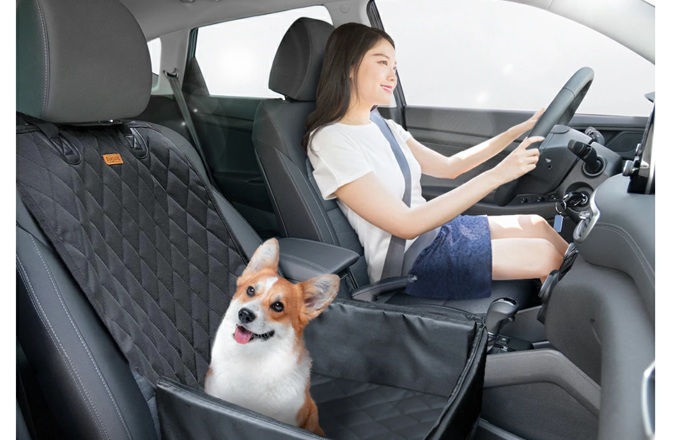 愛犬とのカーライフで電気自動車(EV)が「向いている」理由