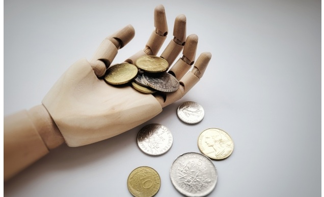 太陽光パネルの鳥害による経済的損失