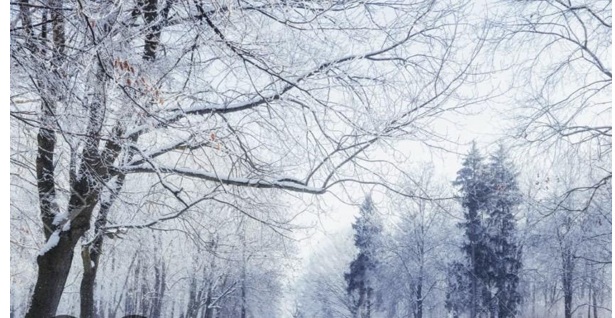 失敗パターン⑦:「冬場の湯不足」を想定していない