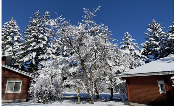 冬季の積雪・曇天が東北・北陸の課題に