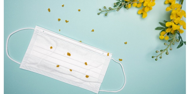 太陽光パネルは花粉で発電量がどれくらい落ちる?影響と対策を解説