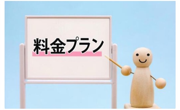 電力会社のプランが自家消費向きではない