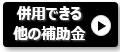 DP(ダイナミック プライシング)と併用できる補助金