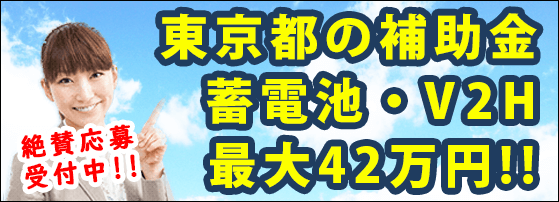 家庭用蓄電池の東京都の補助金