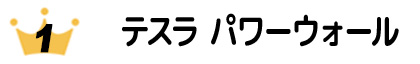 エコ発電本舗人気No1