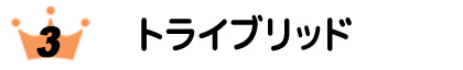 エコ発電本舗人気No3