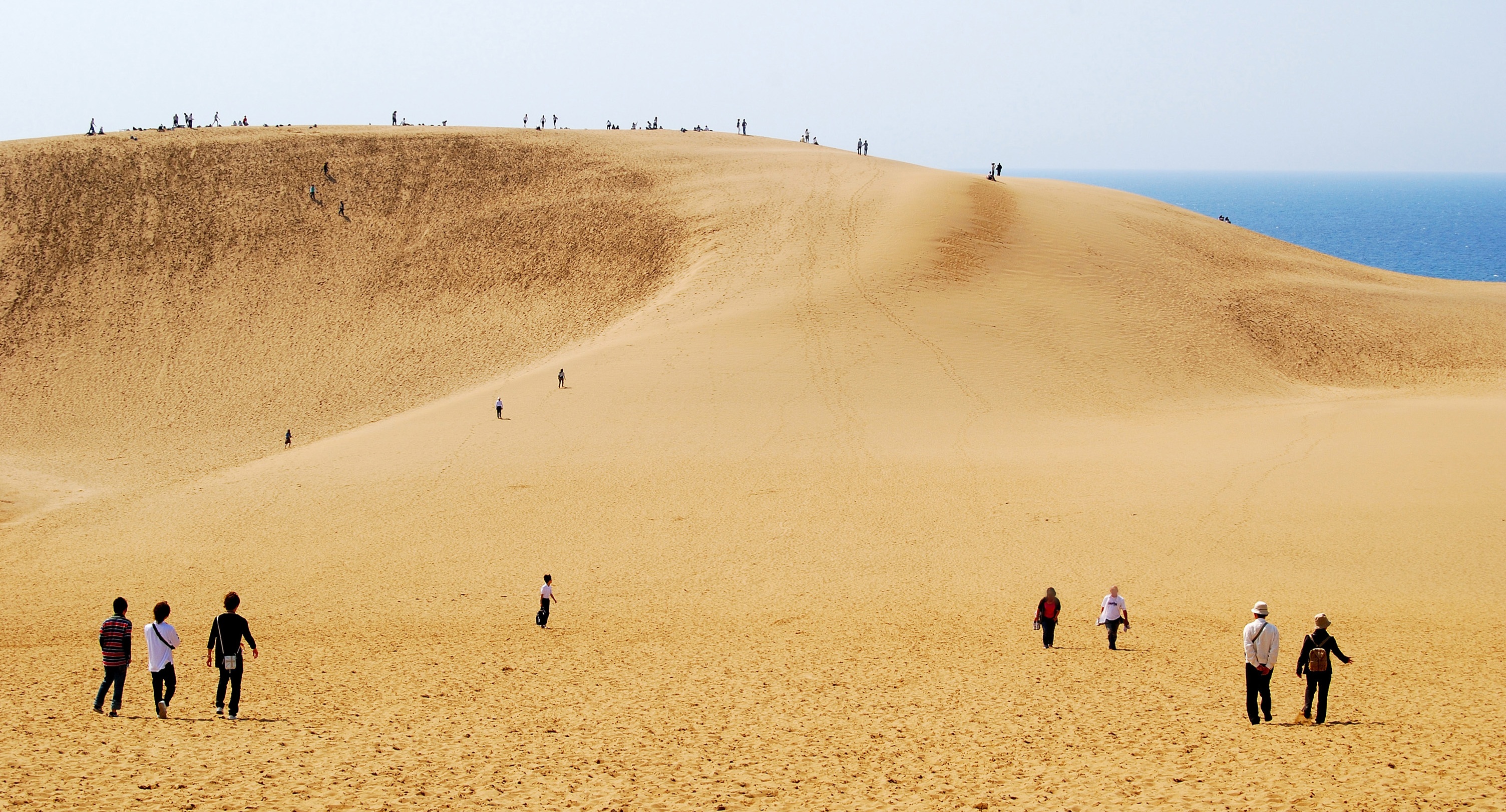 鳥取県の環境への取り組み